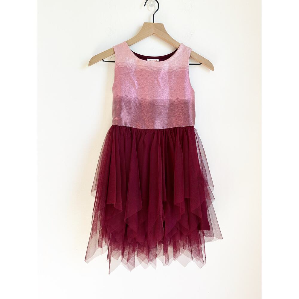 Girls' Cat & Jack Formal Dress Christmas Tutu Skirt Pink Deep Red